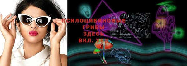 мдпв Нягань