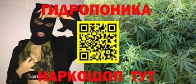 шишки Балашиха