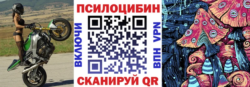 наркошоп  Гурьевск  Галлюциногенные грибы Psilocybine cubensis 