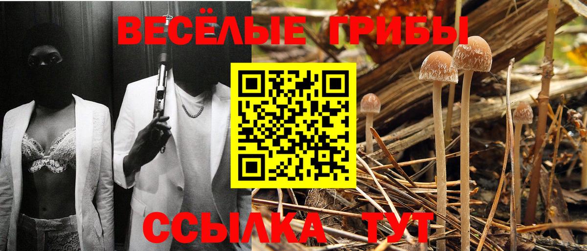 Гурьевск  где найти   Вход с VPN  Галлюциногенные грибы ЛСД 