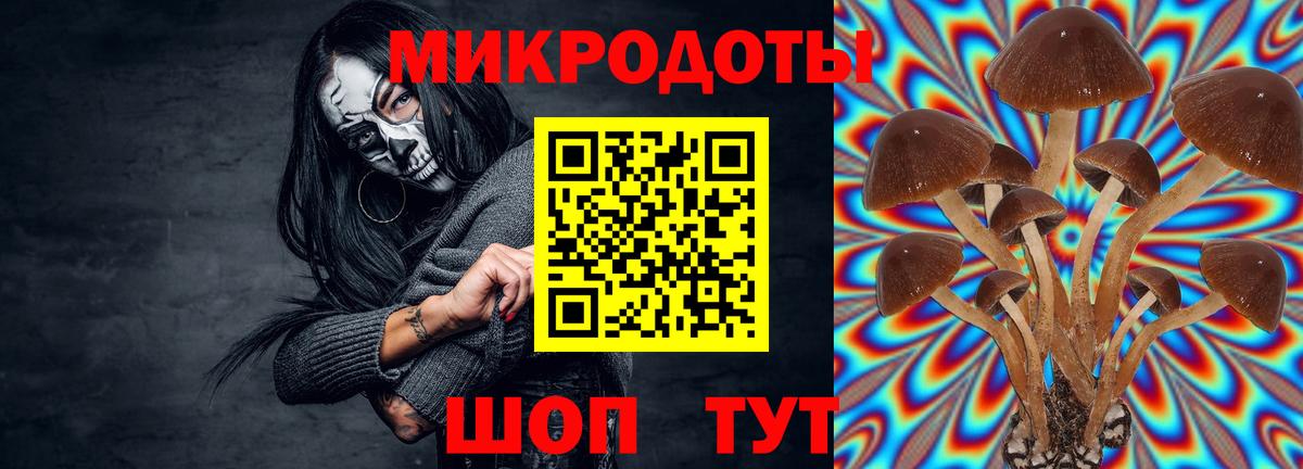 Галлюциногенные грибы GOLDEN TEACHER Гурьевск